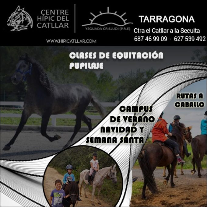 Tarragona Equitación Pupilaje Hípica Catllar: