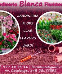 Deltebre Jardineria Floristeria Blanca