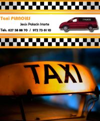 Taxi Planoles el Ripollès