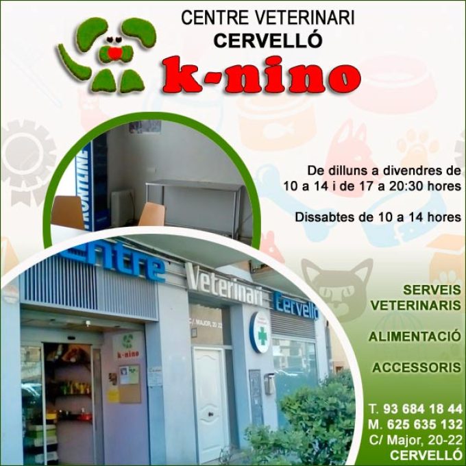 Cervelló Centre Veterinari Knino
