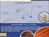 Barcelona Carcoma Corcs Termites Garbi