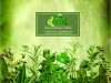 Lleida Vilanova Segrià Dverd Herbes Culinàries