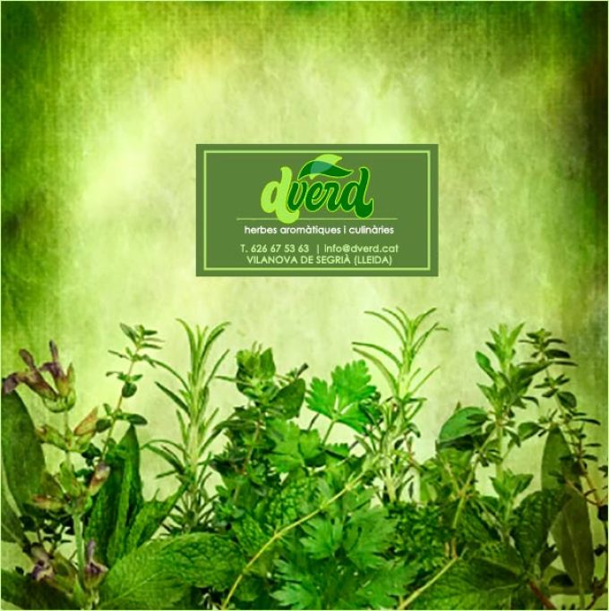Lleida Vilanova Segrià Dverd Herbes Culinàries