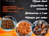 Restaurant Les Corts Cabrera
