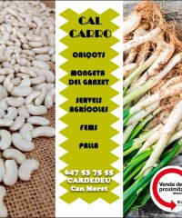 Cardedeu Venda Calçots Mongetes Ganxet Cal Carro