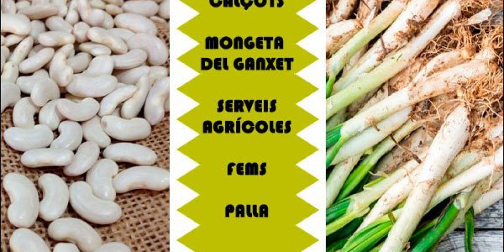 Hortalisses de Proximitat a Cardedeu