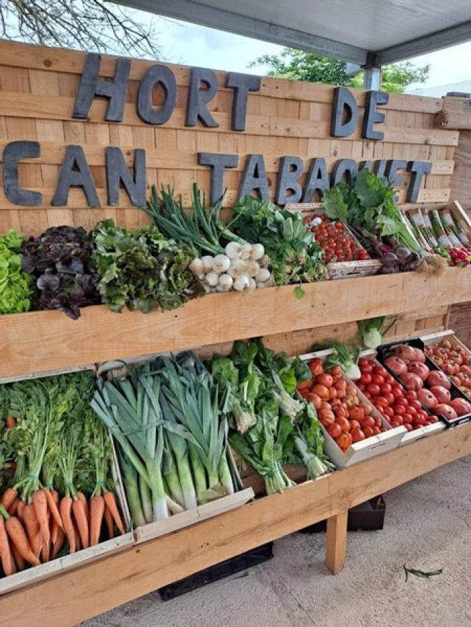 hort de can tabaquet 2