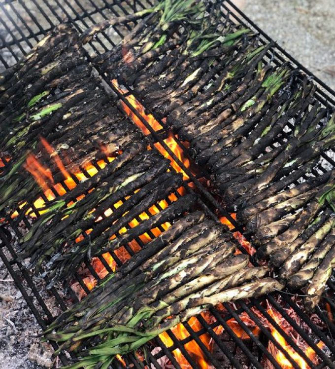 hort de can tabaquet 4