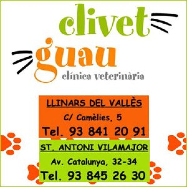 Clivet Guau