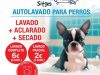 Sitges Autorentat Gossos I love Dog Wash