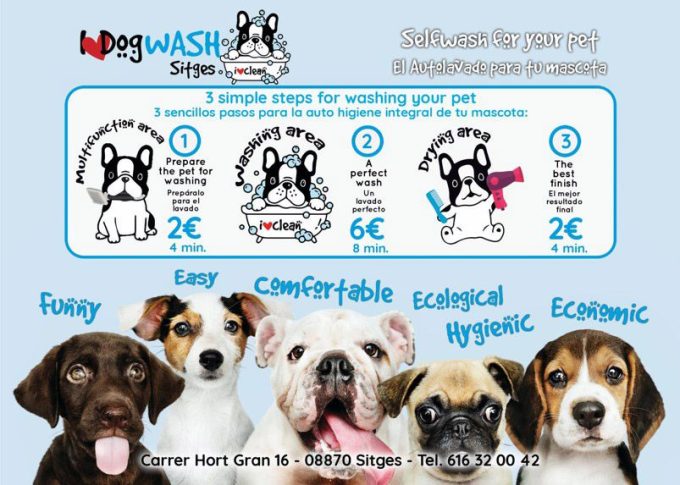 I love dog wash 2