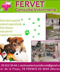 Premià Veterinari Perruqueria Canina Maresme Fervet