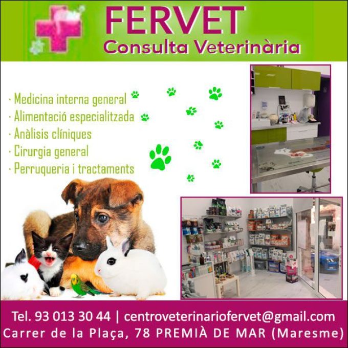 Premià Veterinari Perruqueria Canina Maresme Fervet