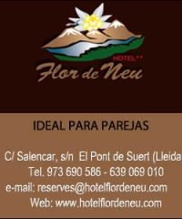 Hotel FlordeNeu Pont de Suert