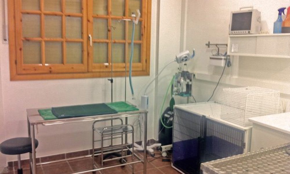 serveis veterinaris camprodon