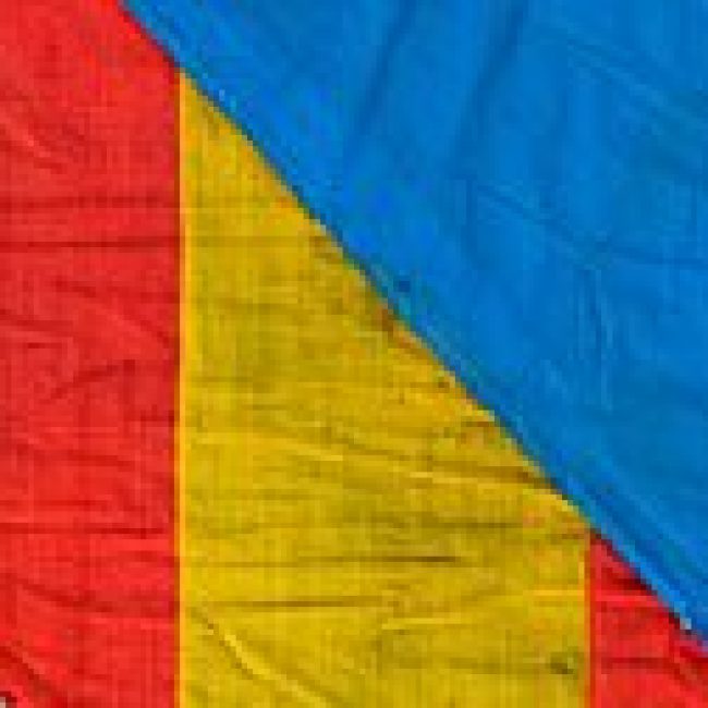 Totguia amb la democràcia