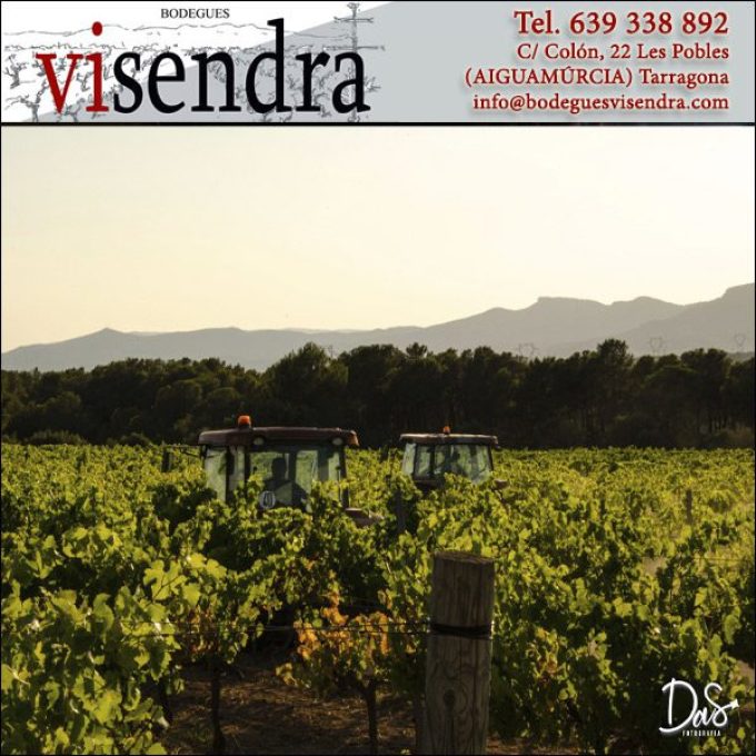 Aiguamúrcia Vins Vinyes Ecològiques Bodegues Visendra