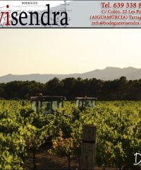 Aiguamúrcia Vins Vinyes Ecològiques Bodegues Visendra