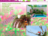 Tarragona Baix Camp Tala Poda Jardineria Arnigreen