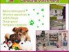 Premià Veterinari Perruqueria Canina Maresme Fervet