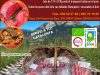 Vedella Ecològica del Pedraforca Saldes Berguedà