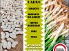Cardedeu Venda Calçots Mongetes Ganxet Cal Carro