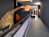 dinosfera2