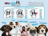 I love dog wash 2