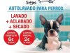 Sitges Autorentat Gossos I love Dog Wash