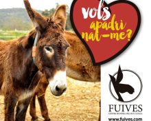 Ruc Català