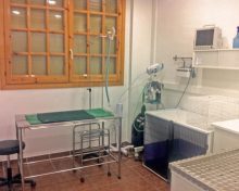 Serveis Veterinaris