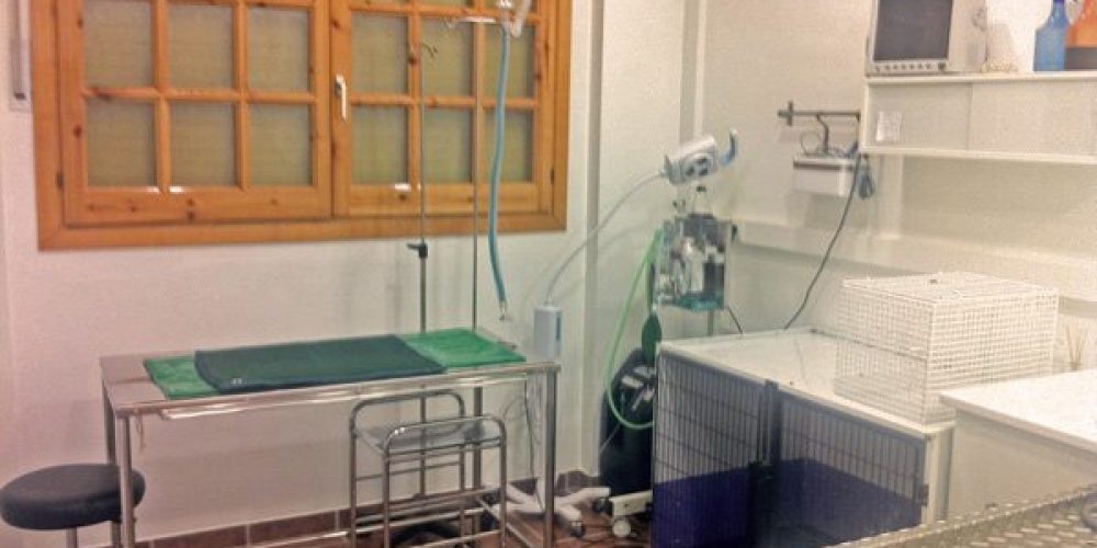 Serveis Veterinaris