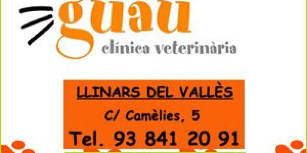 Clivet Guau