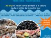 Deltebre Peixateria Marisol