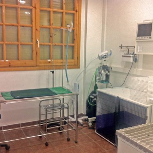 Serveis Veterinaris