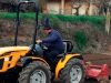 treballs agricoles alfons 4