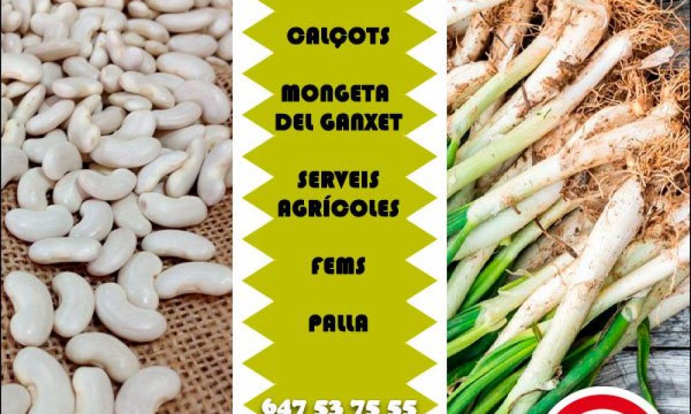 Cardedeu Venda Calçots Mongetes Ganxet Cal Carro