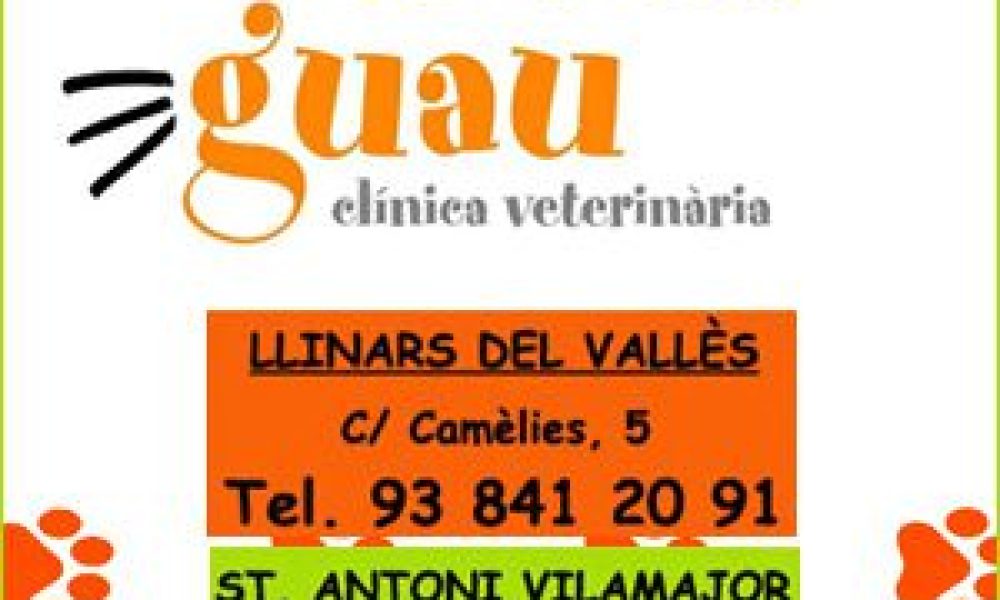 Llinars Veterinari ClivetGuau
